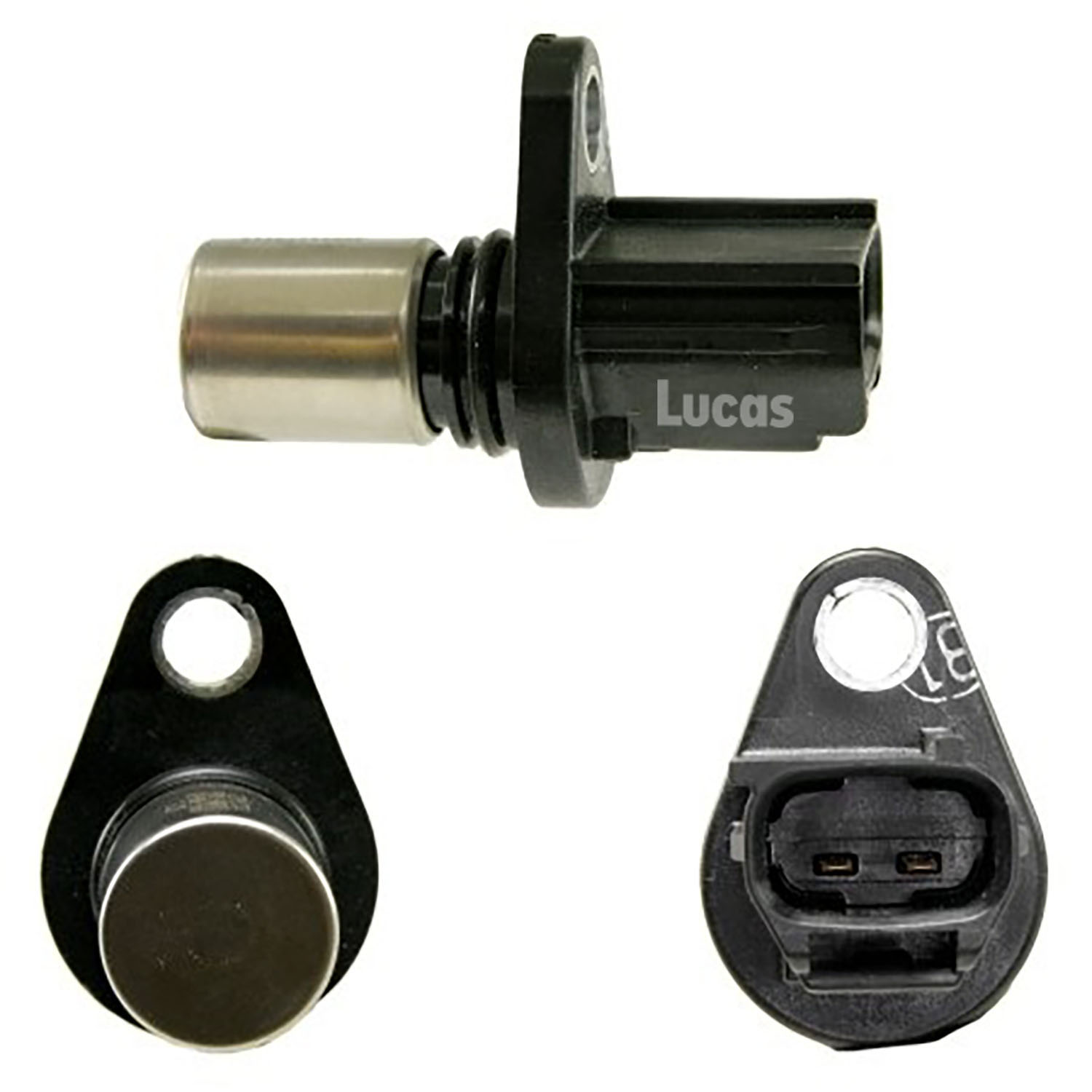 Lucas  LEMSR233