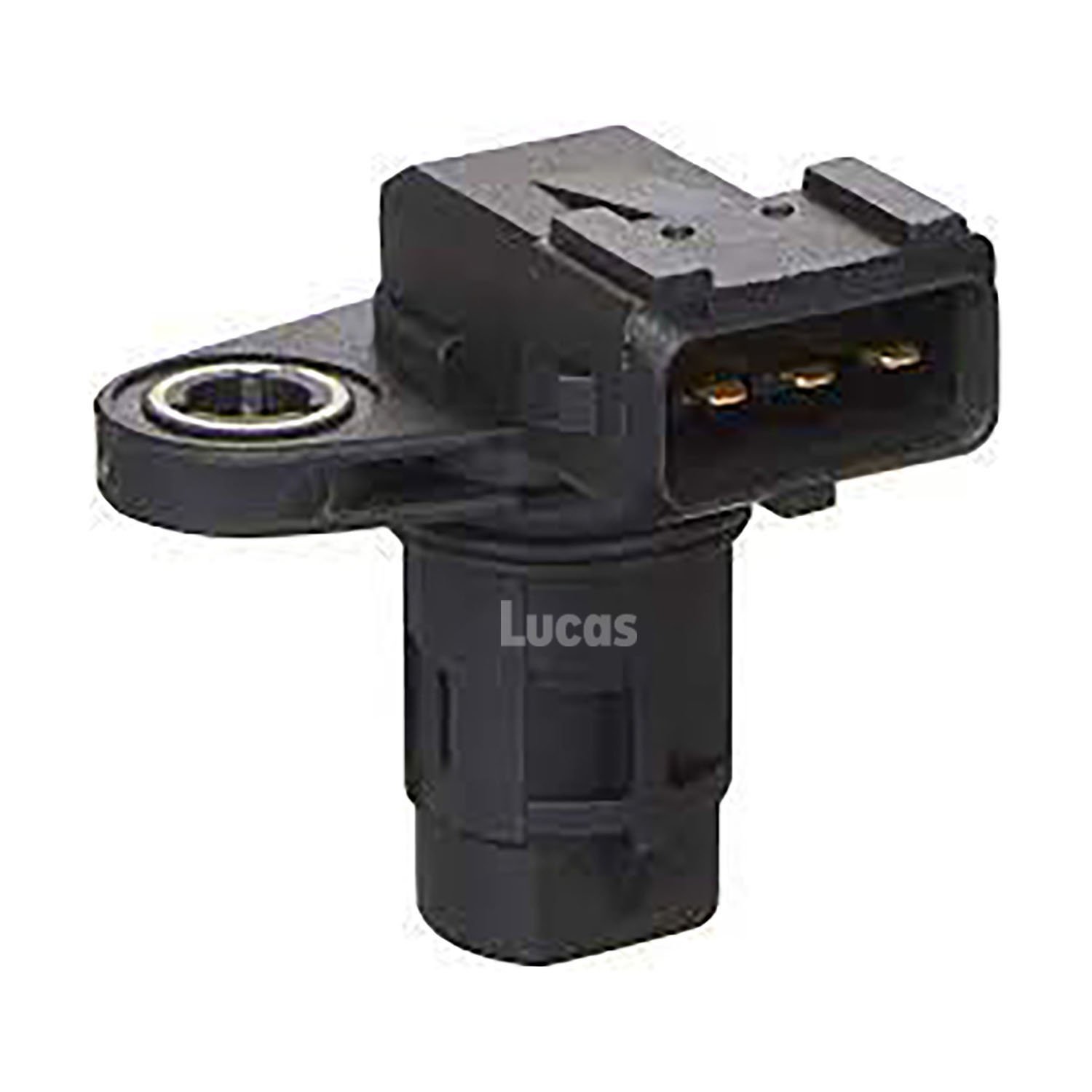 Lucas  LEMSR276