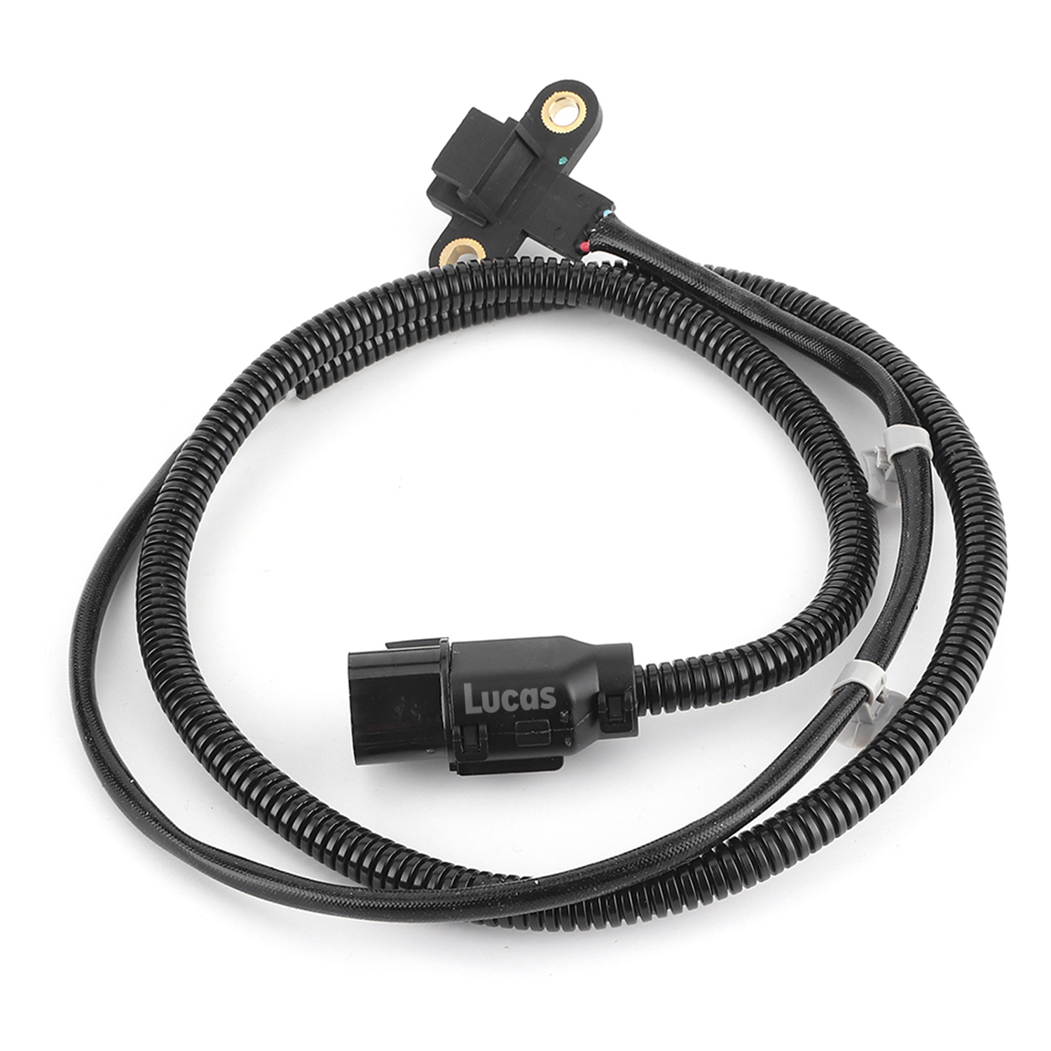 Lucas  LEMSR281