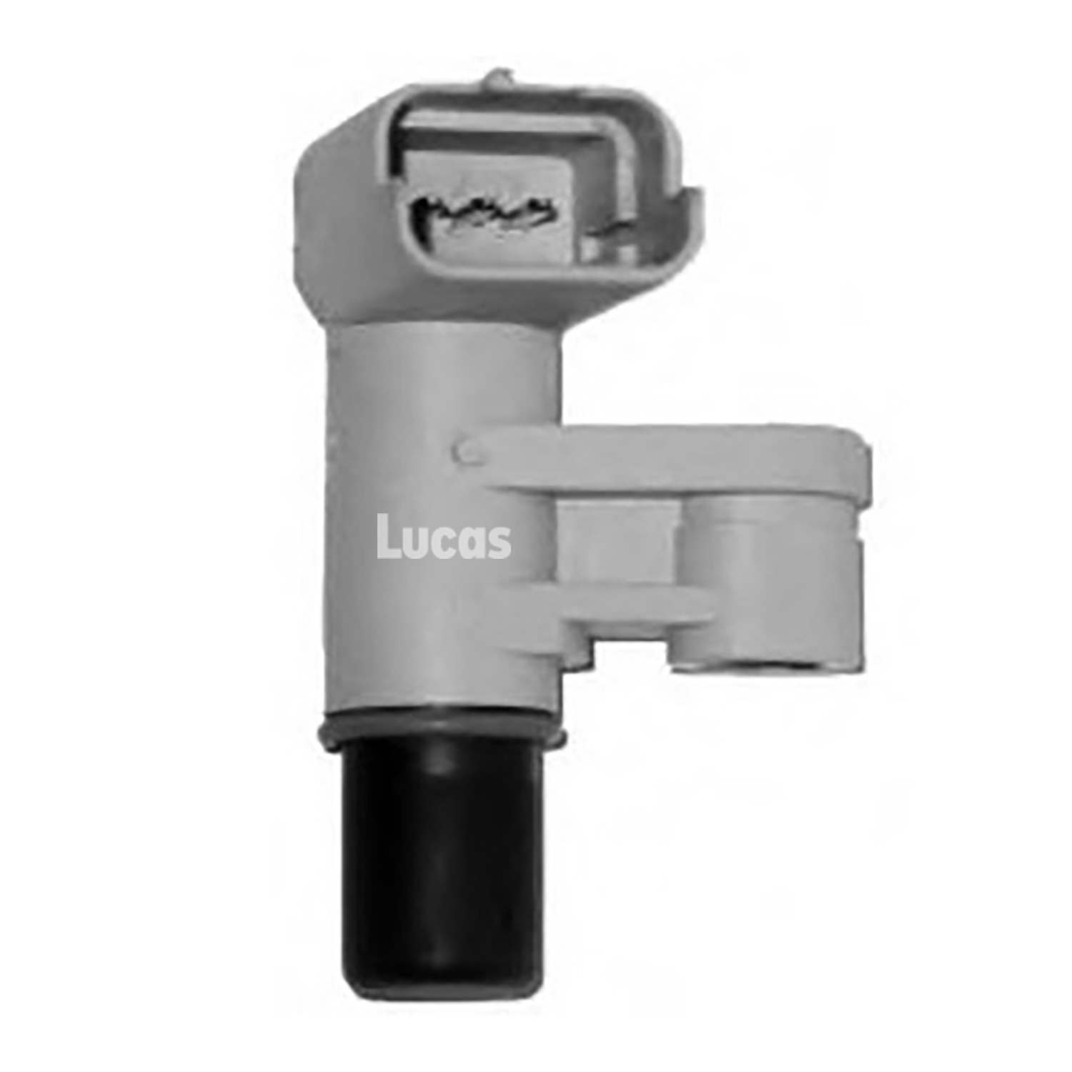 Lucas  LEMSR293