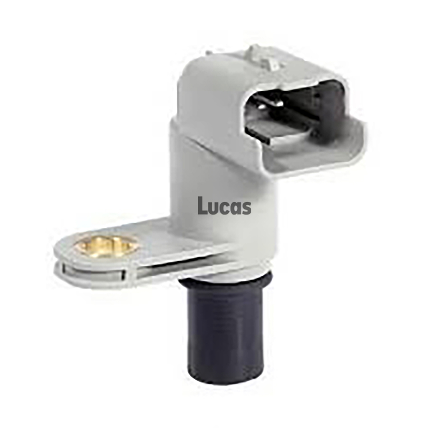 Lucas  LEMSR295