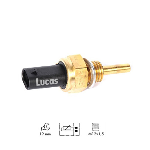 Lucas LEMSTP121