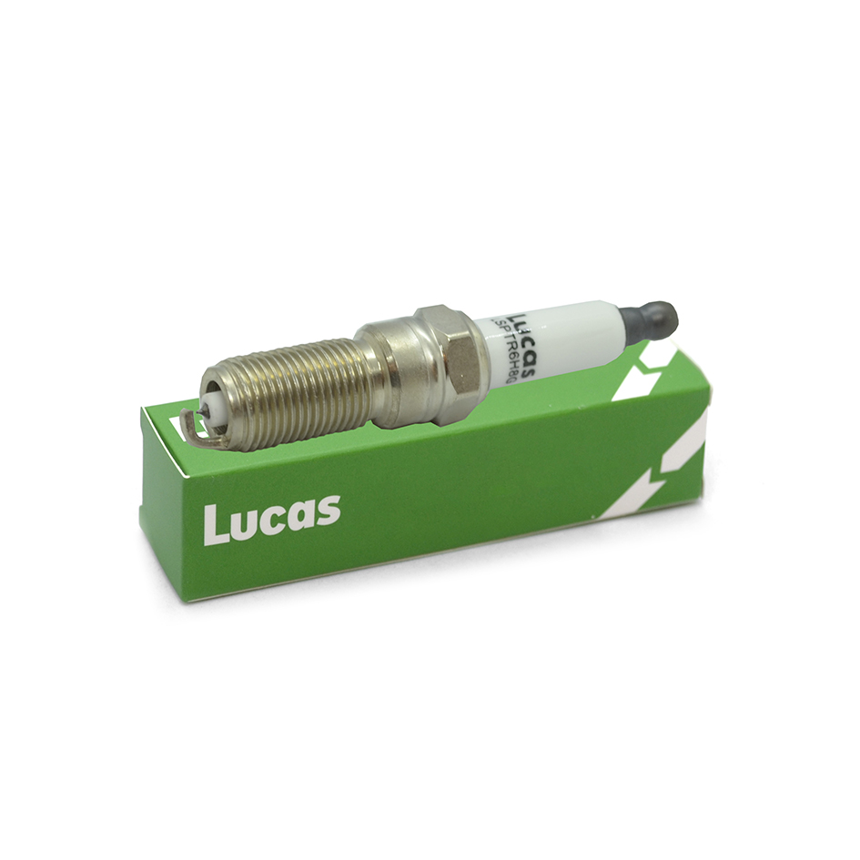 Lucas LSPTR6H8G