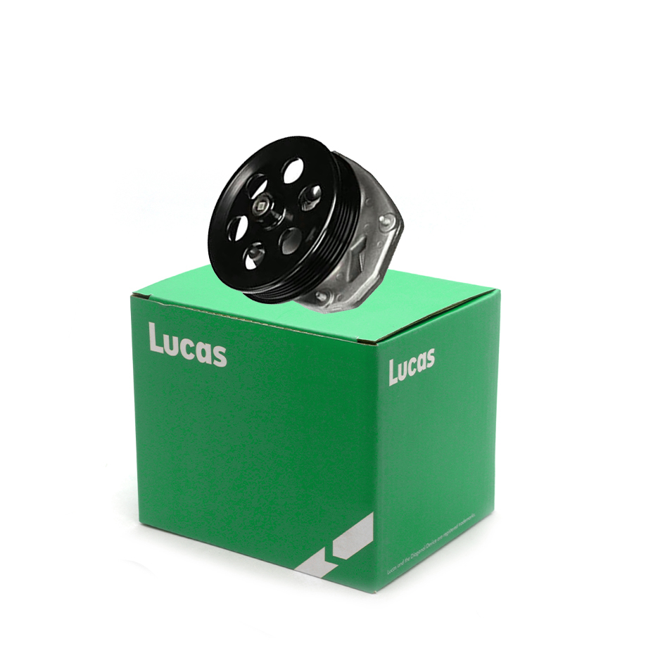 Lucas LWPN050