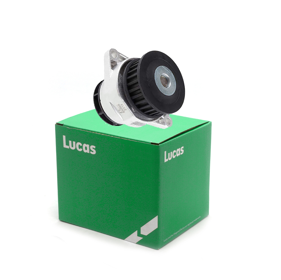 Lucas LWPN053