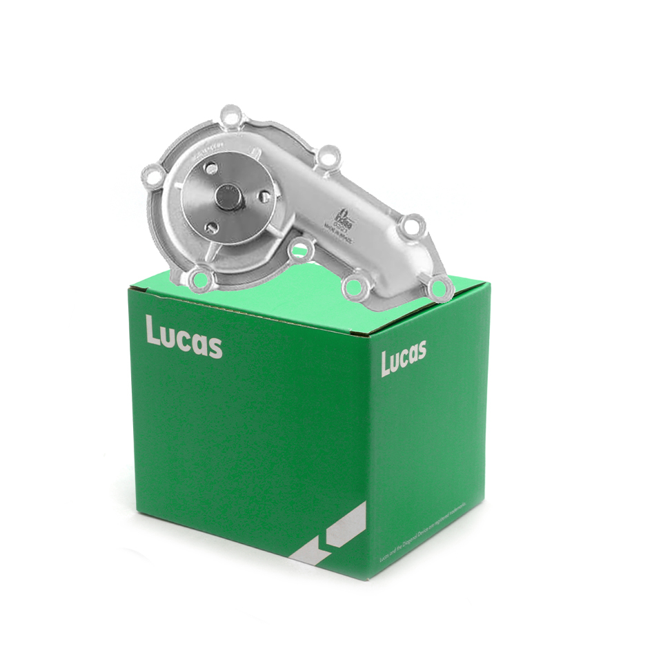 Lucas LWPN060