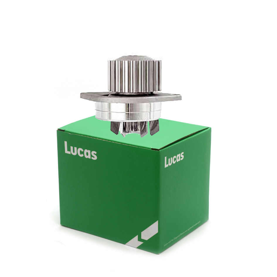 Lucas LWPN100