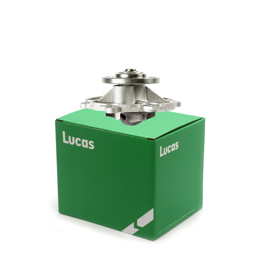Lucas LWPN110