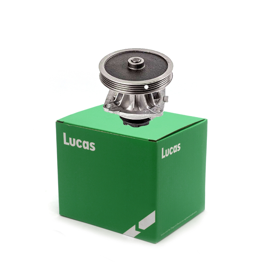 Lucas LWPN113